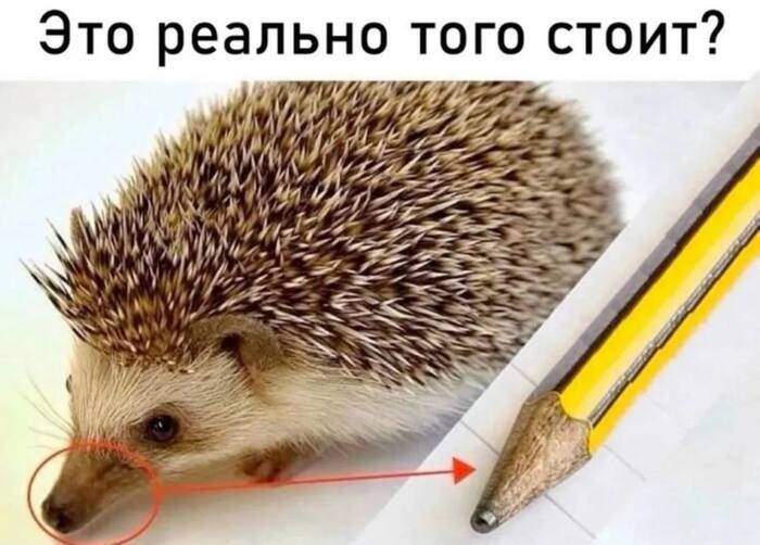 Тавтограмма: