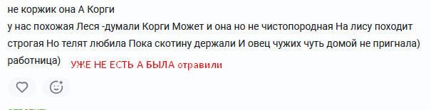 Ответ на пост «Отличный помощник»
