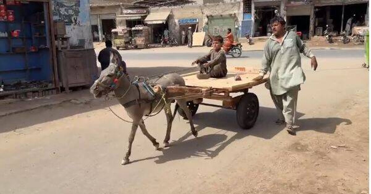 The process of making a wooden donkey cart in Pakistan - Pakistan, Production, Manufacturing, Wood products, Carpenter, Carpenter, Woodworking, Donkey, How is it done, Pakistani Technology, Pakistanis, Folk crafts, Horse-drawn transport, Video, Rutube