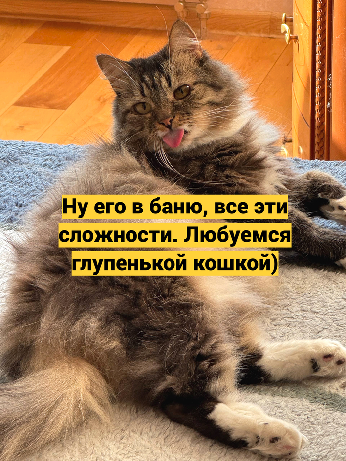 ��������)