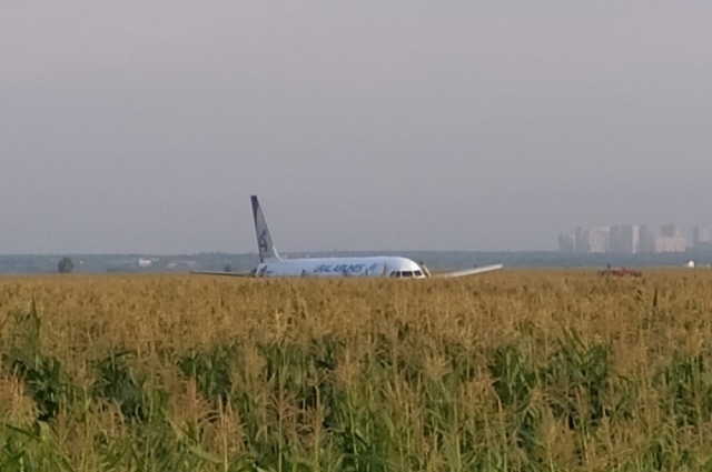 Так выглядит место посадки самолёта в поле. Фото: <a href="https://pikabu.ru/story/strakh_letat__yeto_normalno_geroy_rossii_yusupov_raskryil_kak_sazhal_samolyot_v_pole_14352644?u=http%3A%2F%2F50.mchs.gov.ru%2F&t=%D0%93%D0%A3%20%D0%9C%D0%A7%D0%A1%20%D0%A0%D0%BE%D1%81%D1%81%D0%B8%D0%B8%20%D0%BF%D0%BE%20%D0%9C%D0%BE%D1%81%D0%BA%D0%BE%D0%B2%D1%81%D0%BA%D0%BE%D0%B9%20%D0%BE%D0%B1%D0%BB%D0%B0%D1%81%D1%82%D0%B8&h=4127ce5bba50df20bc6cd2106f81c07c5896f096" title="http://50.mchs.gov.ru/" target="_blank" rel="nofollow noopener">ГУ МЧС России по Московской области</a>
