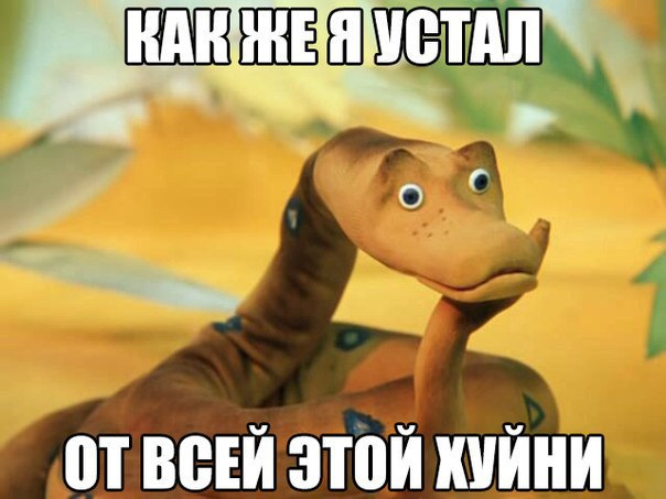 ������������ 2026 ���...