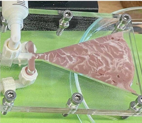 Мясо из воздуха