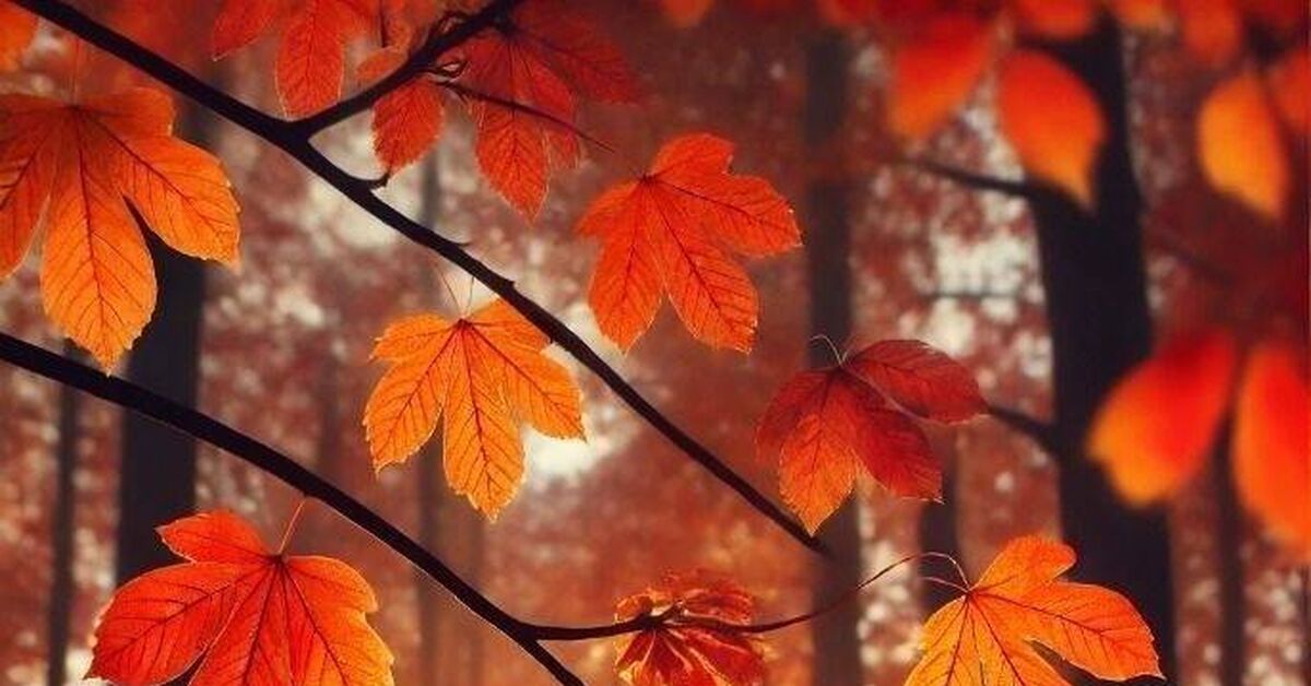 Strange Autumn. Sung by Valery Dozorov, lyrics by Elena Zhitnikova, music by Valery Dozorov - Picture with text, Love, Short videos, Video VK, Autumn, Video