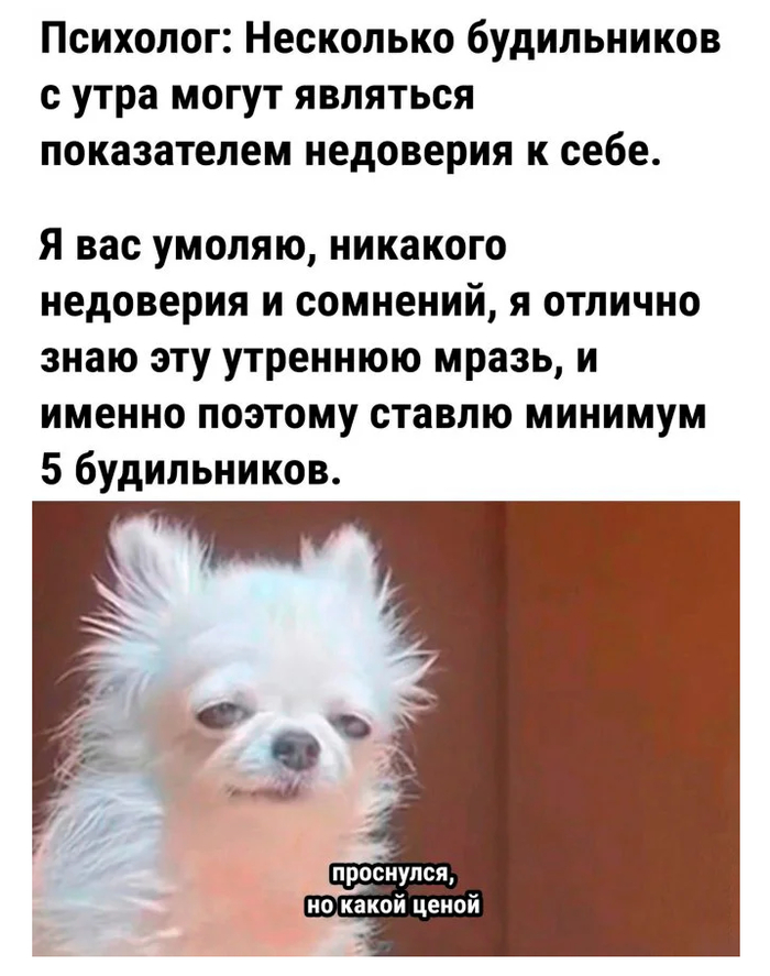 ����� �� ���� ������� �� 30 �����