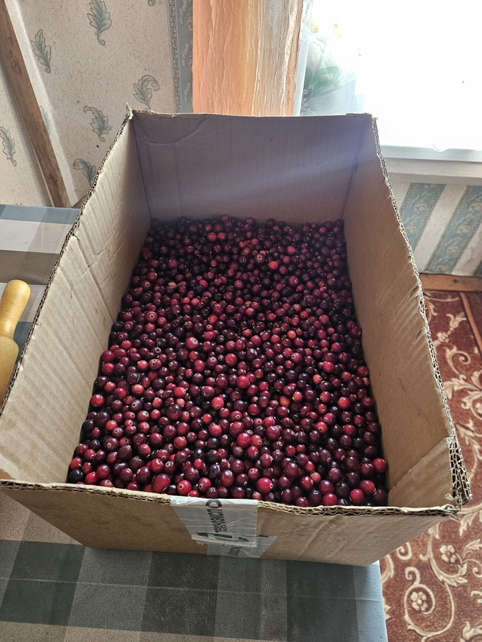 ������! ��������� ������