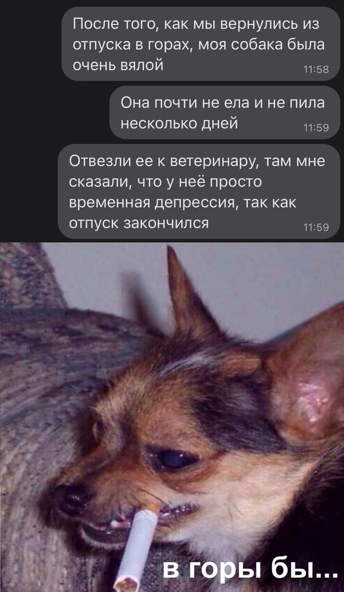 ��� �� �������?