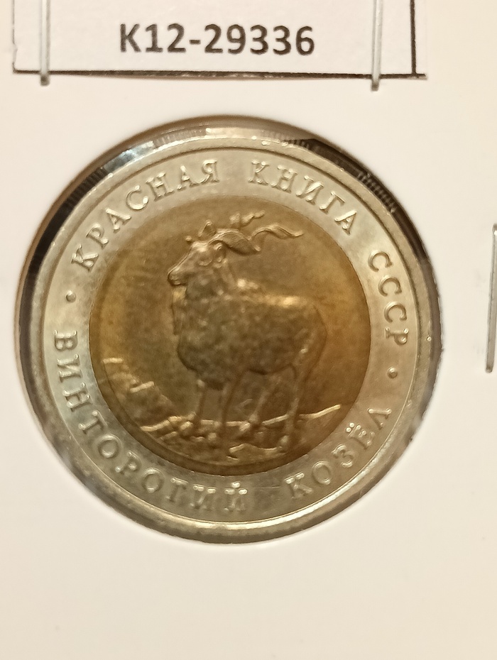 5 ������ 1991, ������� ����� - ���������� �����