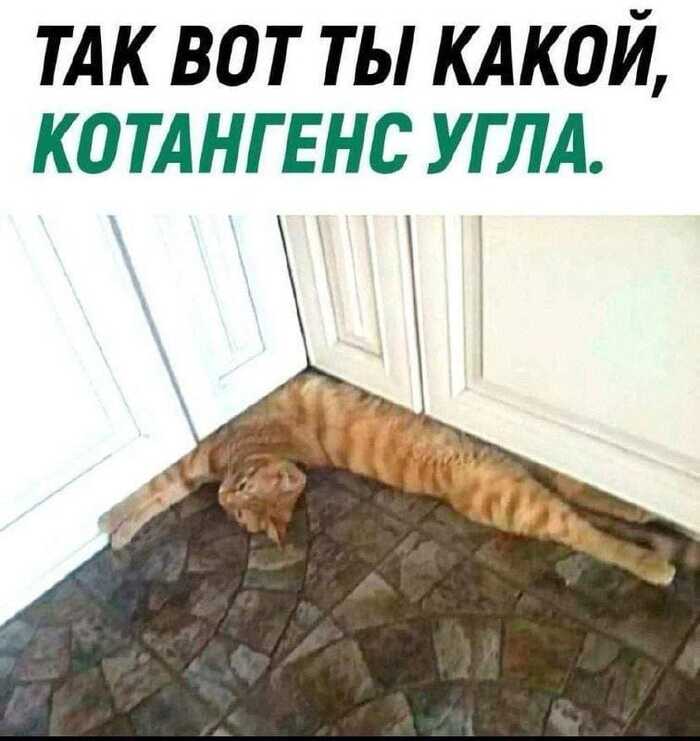 С просторов