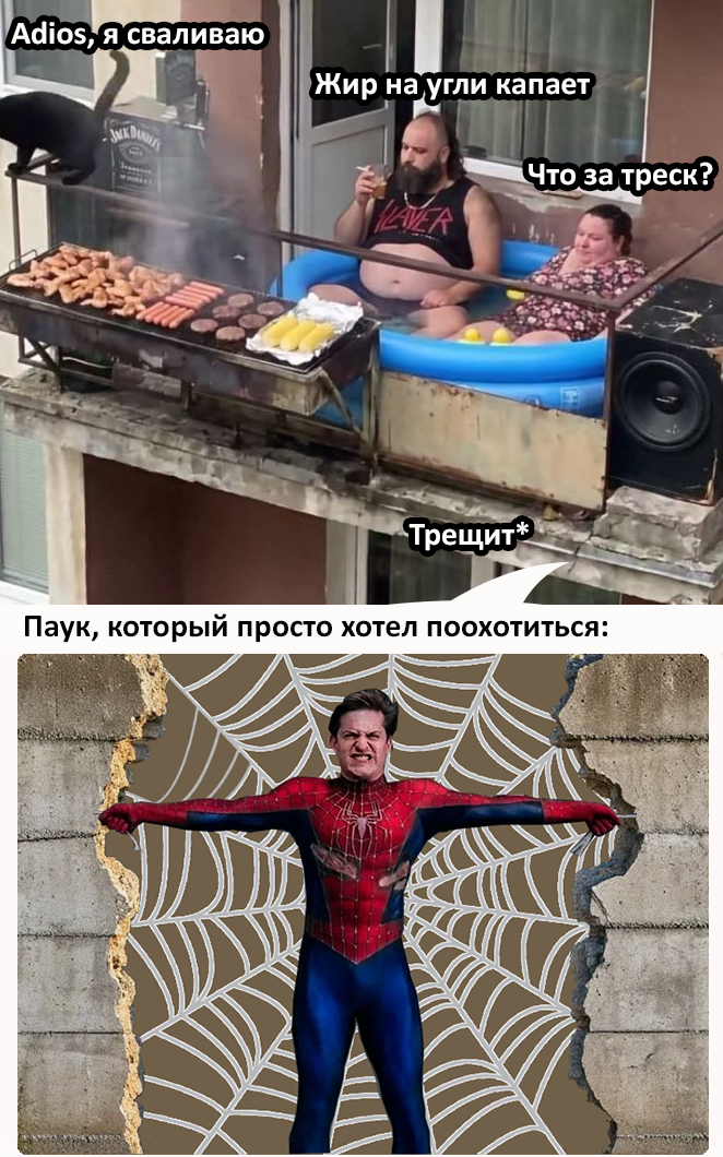 Невозмутимость