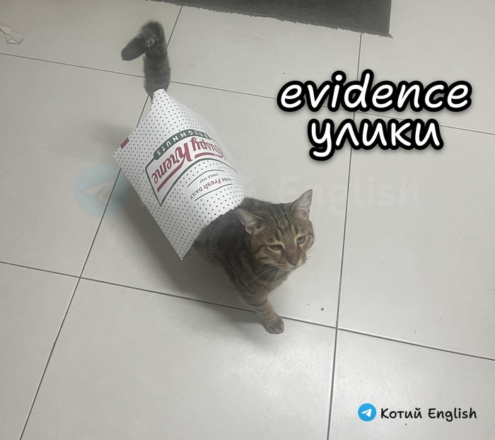 Улики