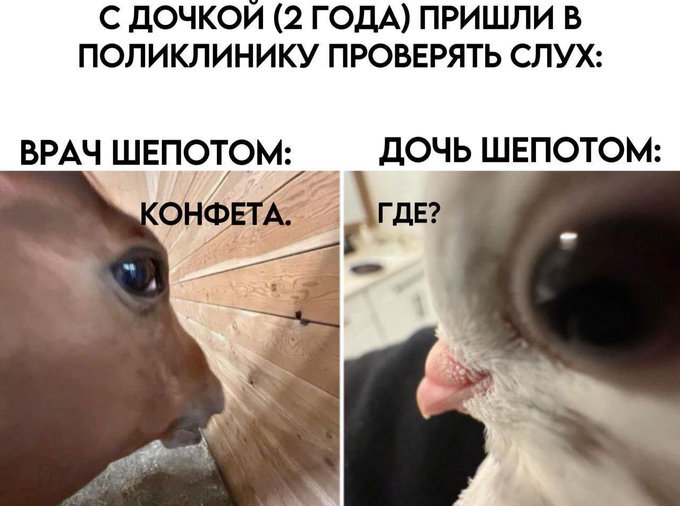 Проверка слуха
