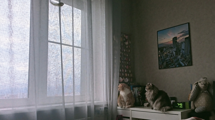 Чет не любит у меня камера сумрак и съёмку "сию секунду"🥺