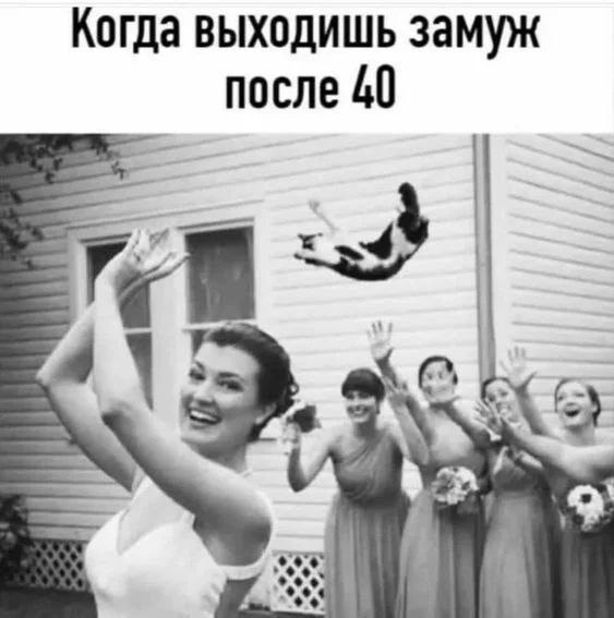 ��� �������