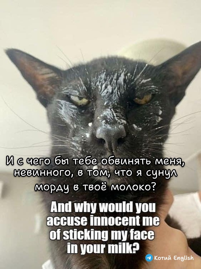 Презумпция невиновности