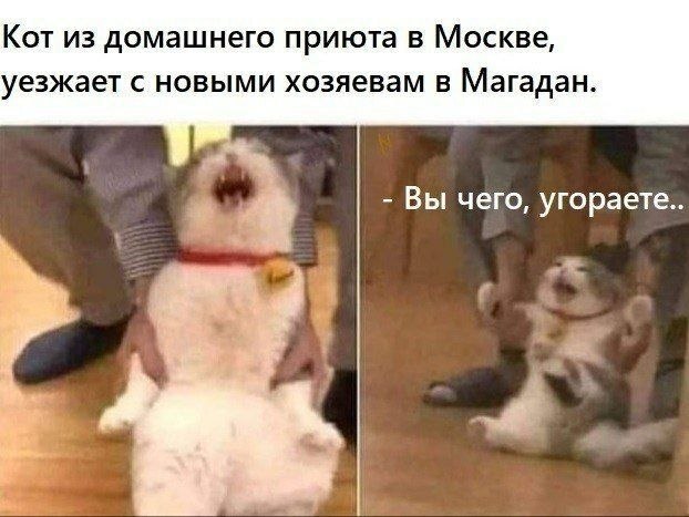 Вот это поворот