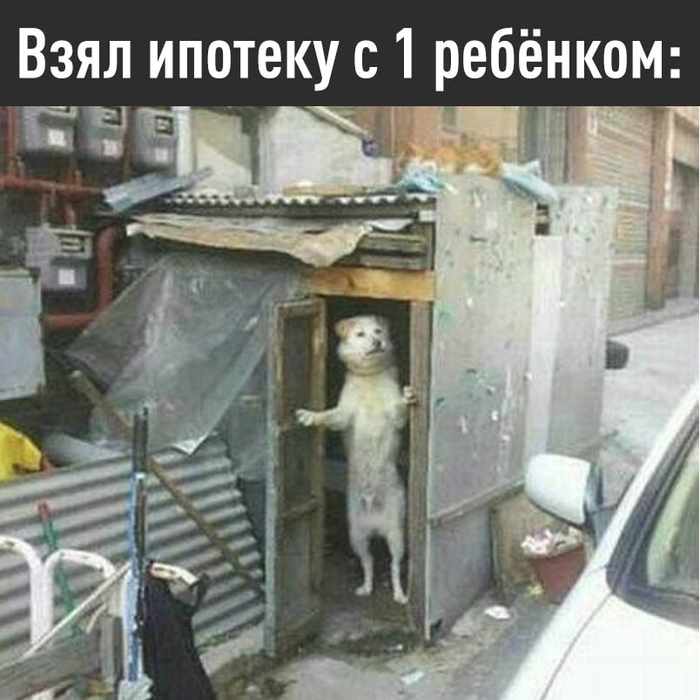 [���: <a href="https://pikabu.ru/story/kak_myi_s_vami_budem_platit_bolshe_nalogov_a_takzhe_bitva_za_regulirovanie_ai_glavnoe_za_nedelyu_14372125?u=https%3A%2F%2Ft.me%2Fexploitex%2F36864&t=%D0%AD%D0%BA%D1%81%D0%BF%D0%BB%D0%BE%D0%B9%D1%82&h=bd6826ac73f459f93d61b11cb8a023d3cebc7a1a" title="https://t.me/exploitex/36864" target="_blank" rel="nofollow noopener">��������</a>]