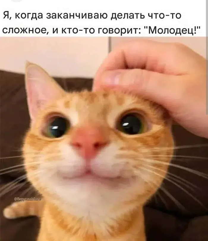 Лучшее чувство на свете