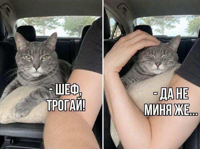 �� � ��� ����