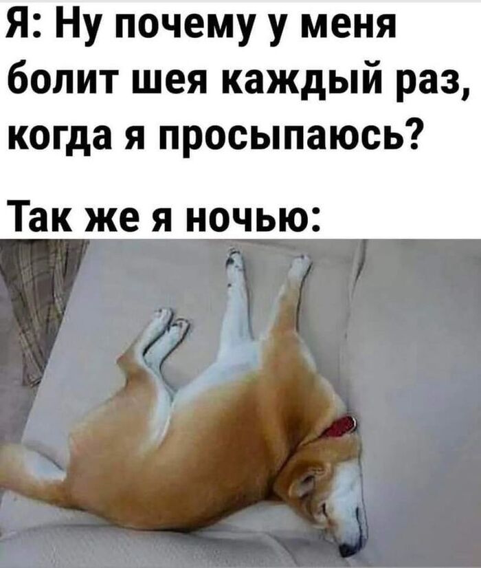 ������������� ������