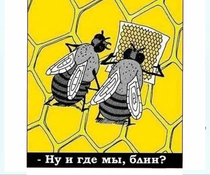 ��������� � ������