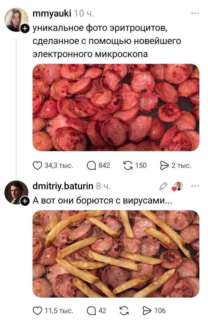 Эритроциты