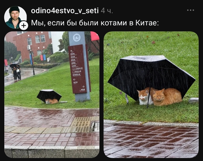 ���������� ��