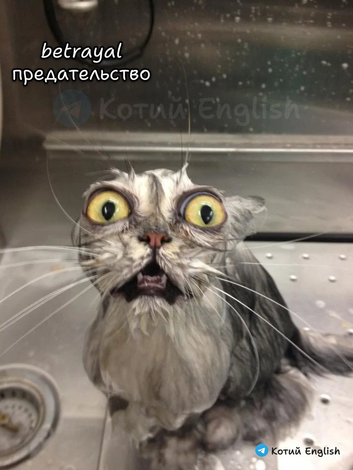 Предательство