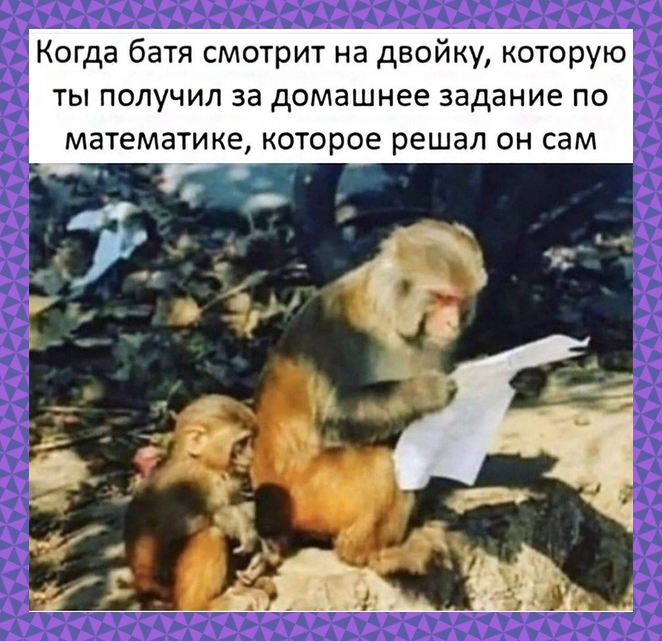 lsmiqsdt.jpg