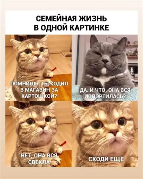 #ОЗ97