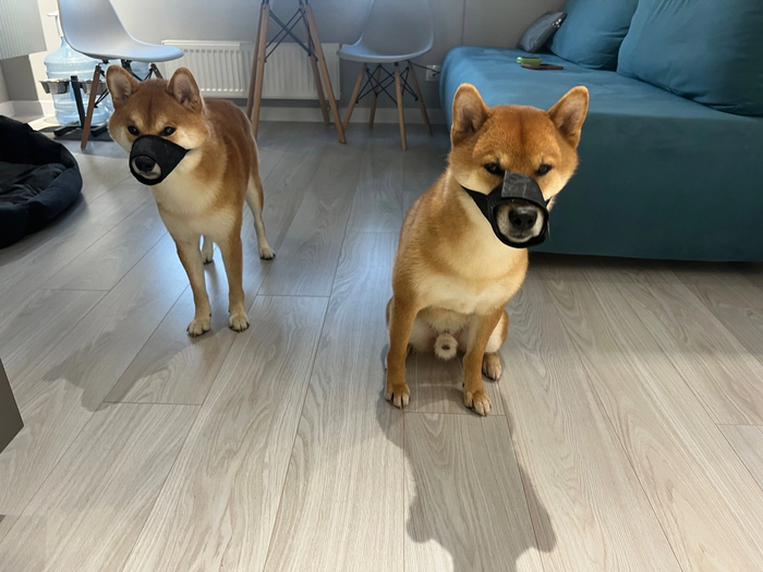 �����
