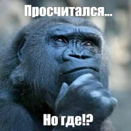 Exactivity