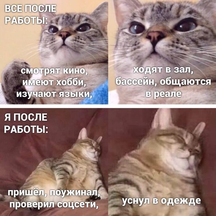 #O4O4