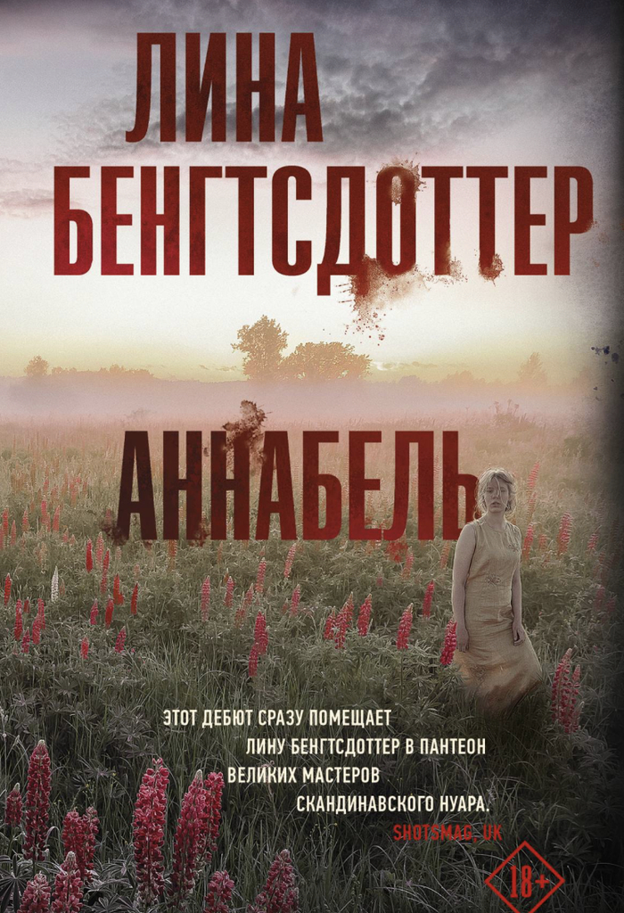 Что почитать? Пять интересных скандинавских детективов