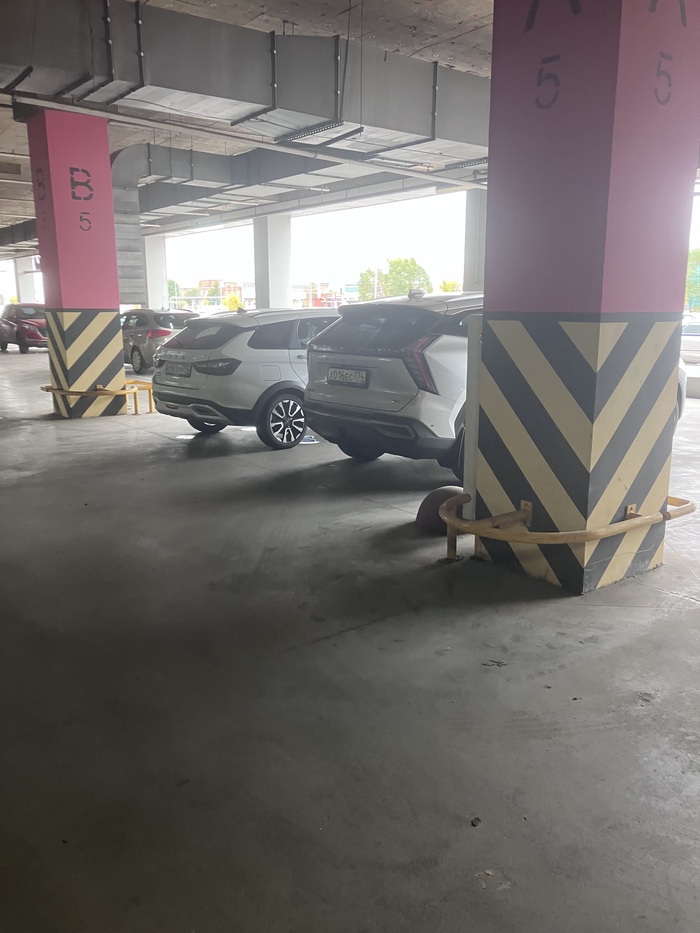 ���� ������ (�)