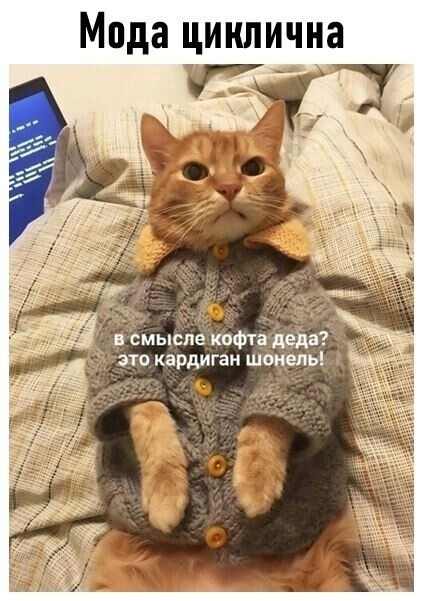 Сезонновое и вневременновое)