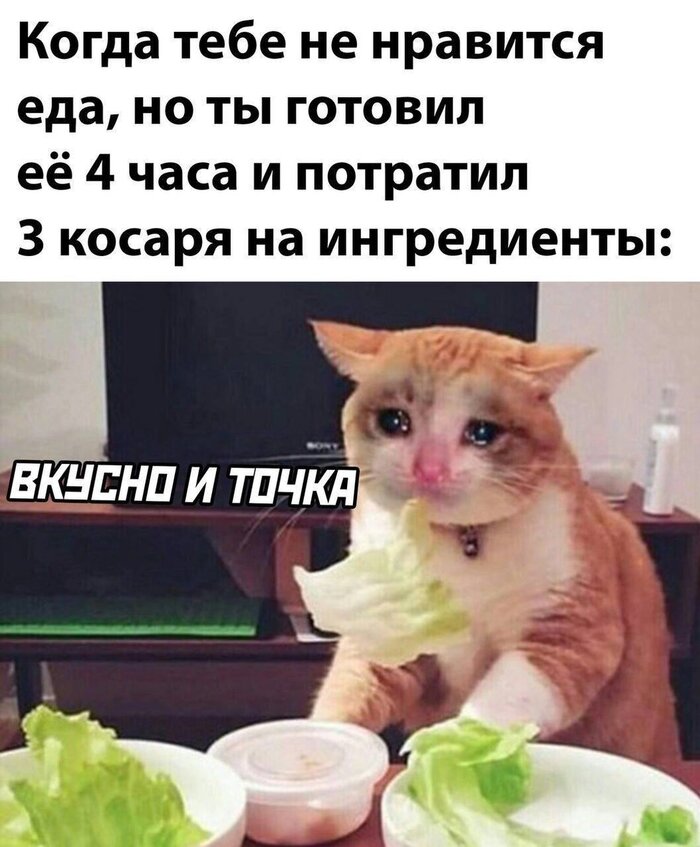 #O4O8