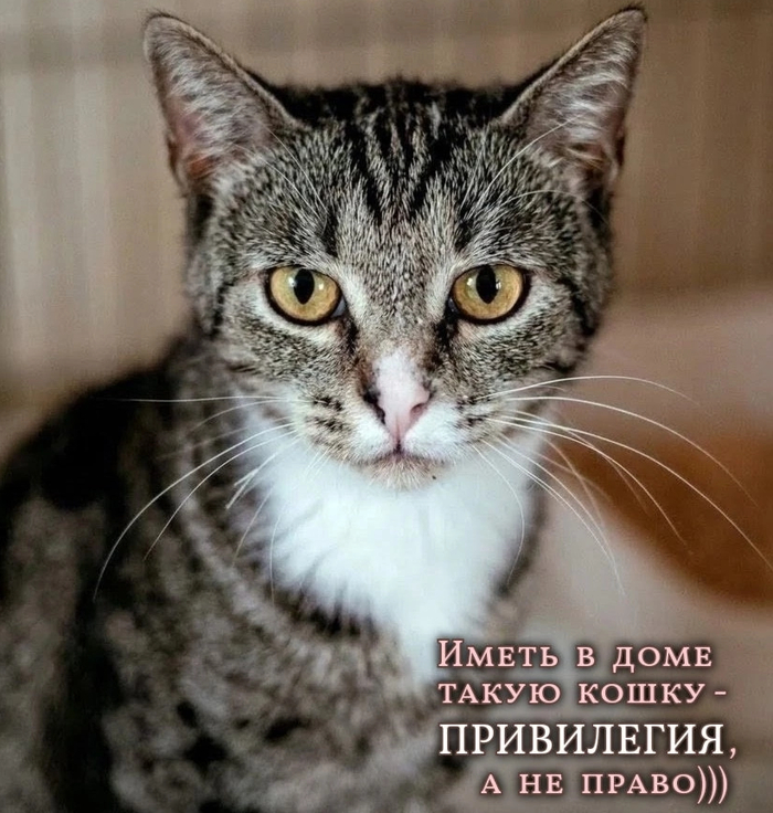 � � � � ������� ������� 1 ���