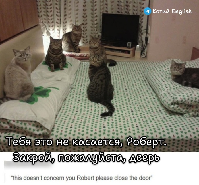 Совещание