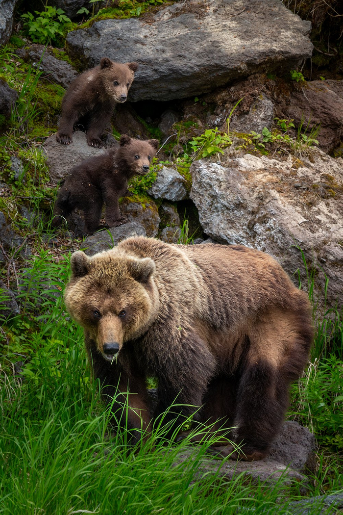 Фото: Денис Будьков <a href="https://pikabu.ru/story/mama_smotrit_14390192?u=https%3A%2F%2Frtraveler.ru%2Fphoto%2F1485236%2F%3Feditorial_photos%3D1&t=%D0%BE%D1%82%D1%81%D1%8E%D0%B4%D0%B0&h=43970f87ebddf238781b8580779e1920a9b68ef4" title="https://rtraveler.ru/photo/1485236/?editorial_photos=1" target="_blank" rel="nofollow noopener">отсюда</a>