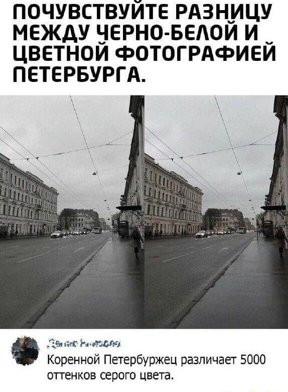 ������������ �������