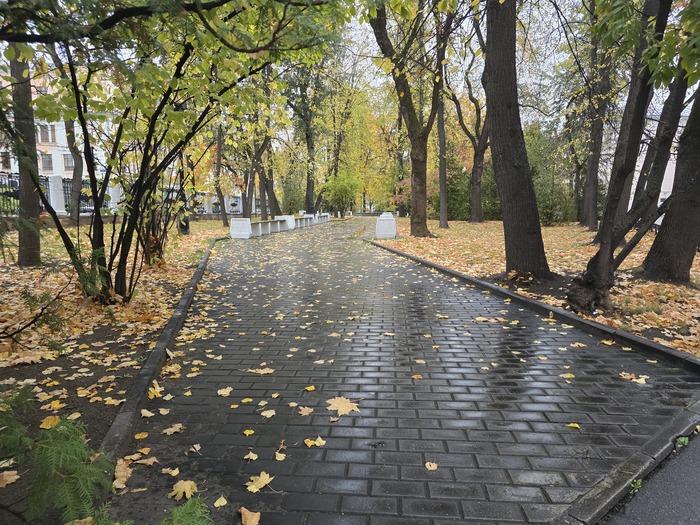 Осень в бауманке