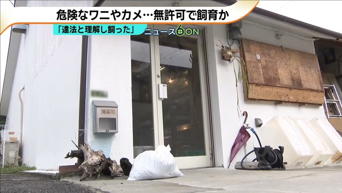 ��� ����� �������. ���� ABC TV