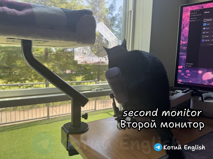 Второй монитор