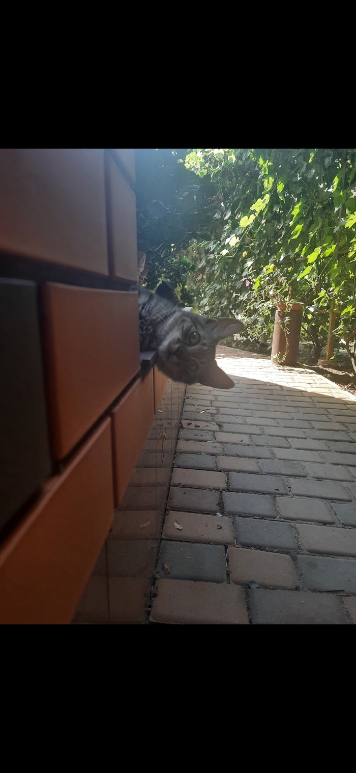 ��� ���?