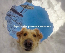 �������� �������