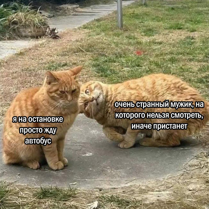 Случай на остановке