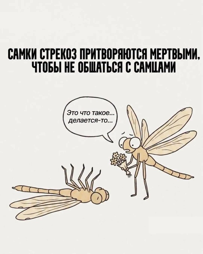 ��. ��� ��� ���!! ������ �������!!