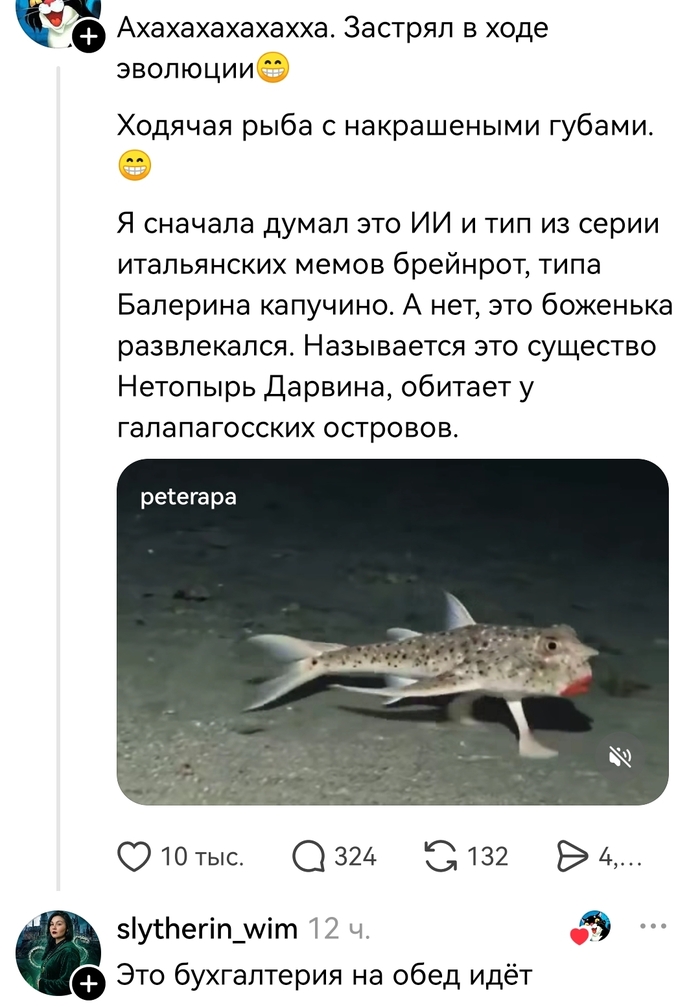 Похоже?