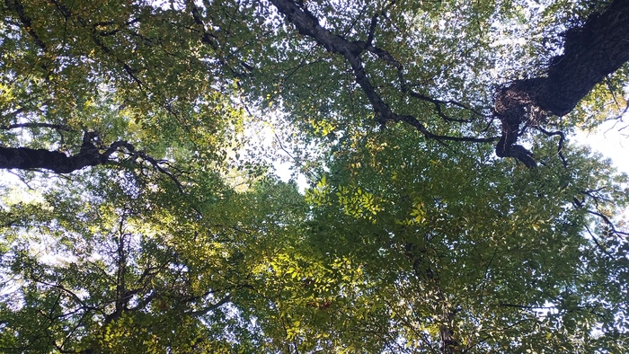 ���